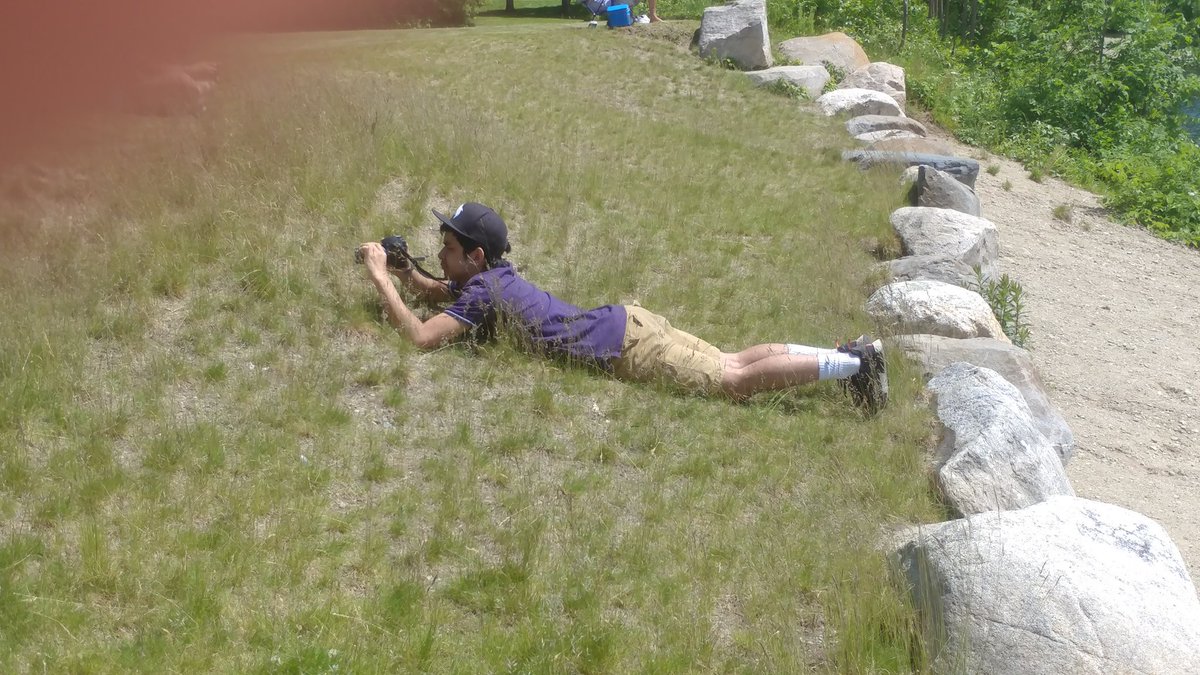 Mr.Walsh tweet media