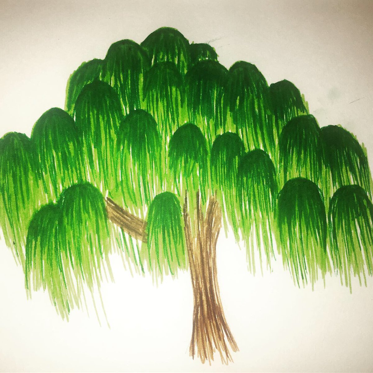 naturenauts's tweet photo. Setting up a challenge for our lovely viewers to find a willow tree in your area. Use #naturenauttraining so we can see your lovely images
#idealab19 #nature https://t.co/z3kZBhGmfw