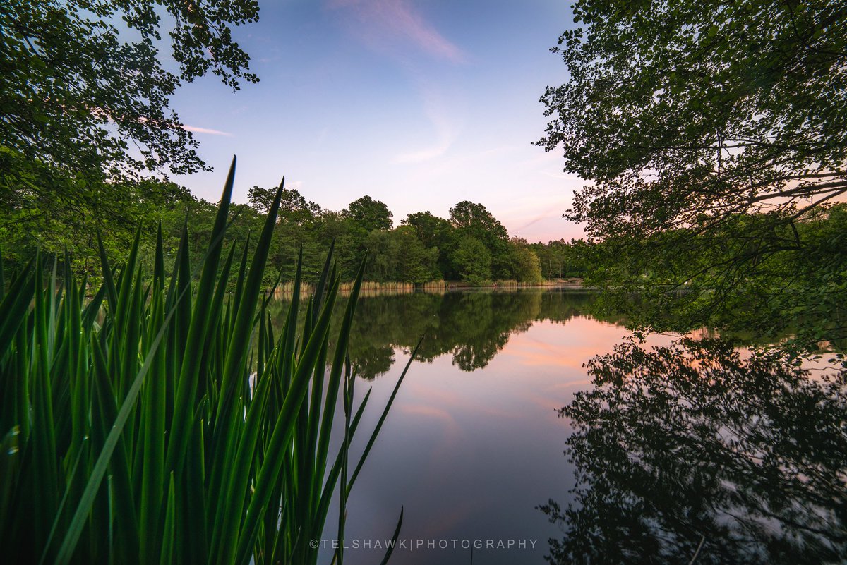 VisitDeanWye's tweet photo. A beautiful Forest of Dean sunset. This is Cannop Ponds at the heart of the Forest, a perfect spot for a walk, a picnic, a bike ride or just to stop, breathe in the fresh air and relax...

Photo by Telshawk photography. 
#DeanWye #ForestOfDean #Gloucestershire #VisitEngland #OMGB https://t.co/BcEOA5HfFN