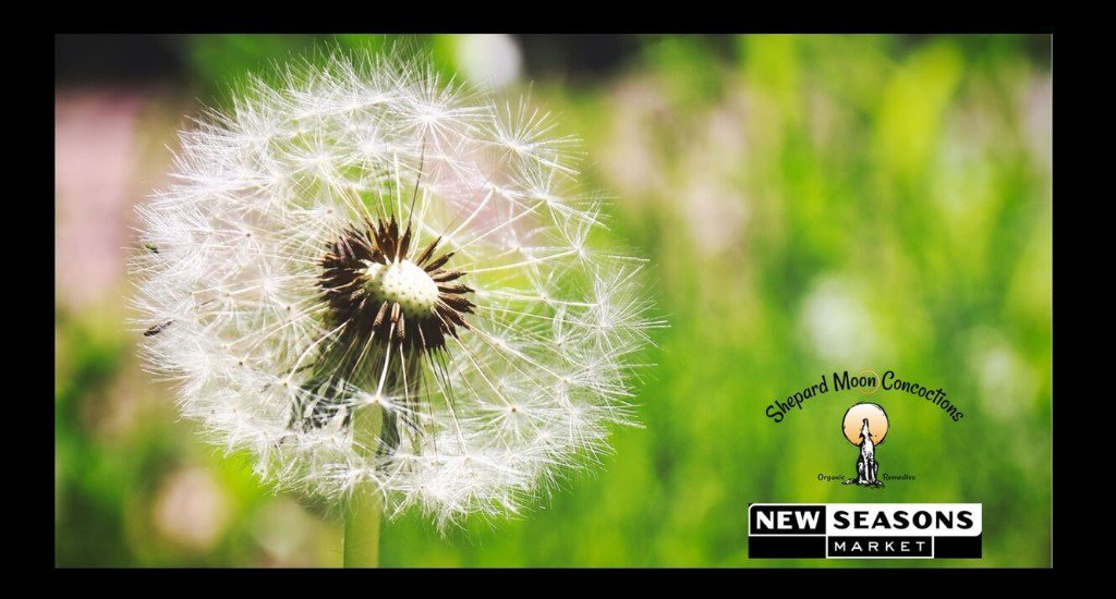 ShepardMoon's tweet image. We're growing like weeds!  Two more New Seasons stores now carry Shepard Moon baths:  Grant Park and Raleigh Hills!  We love you Portland!