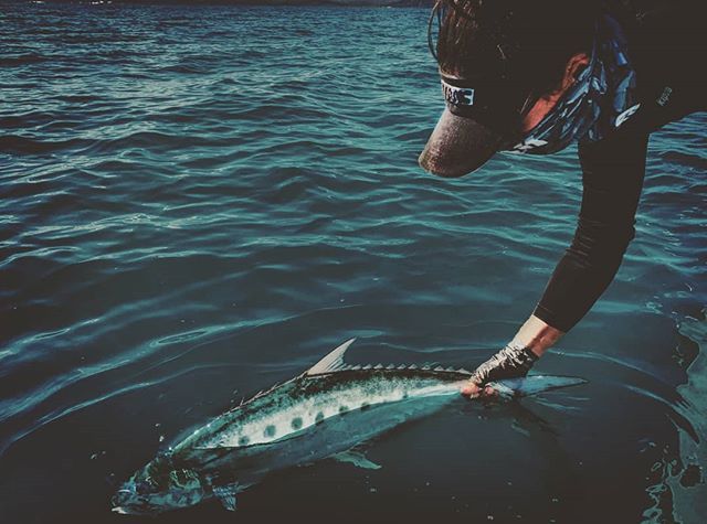 VMC Hooks tweet media