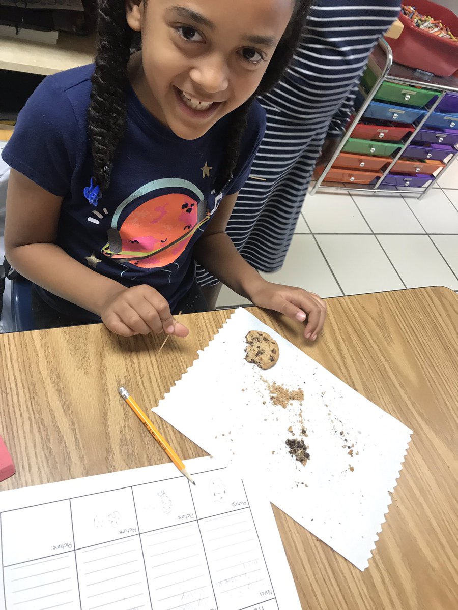 HoyleHoll's tweet photo. Check out our junior paleontologists excavating fossils from their dig sites!         🦴 ⛏ @Newtown_E @HRichardson_VB https://t.co/2En6yxHhnv