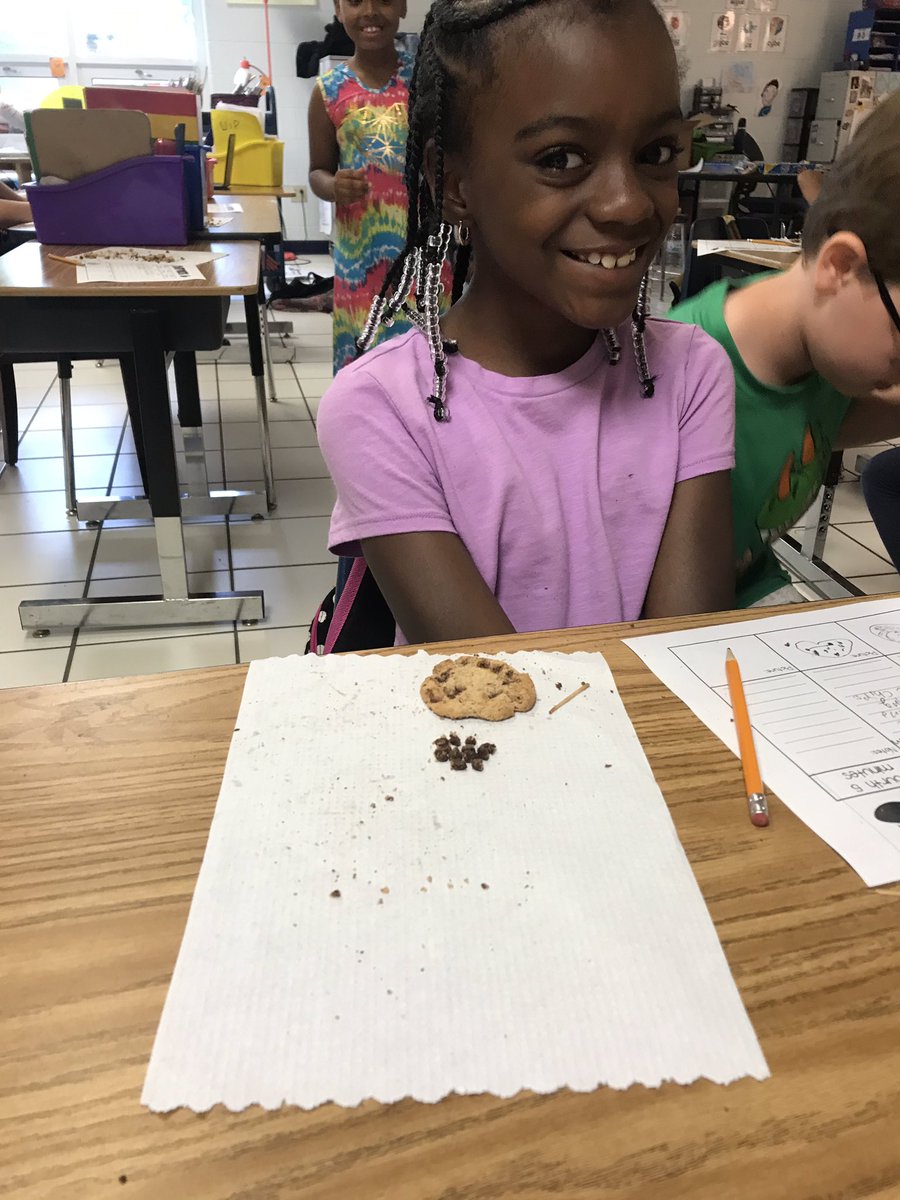 HoyleHoll's tweet photo. Check out our junior paleontologists excavating fossils from their dig sites!         🦴 ⛏ @Newtown_E @HRichardson_VB https://t.co/2En6yxHhnv
