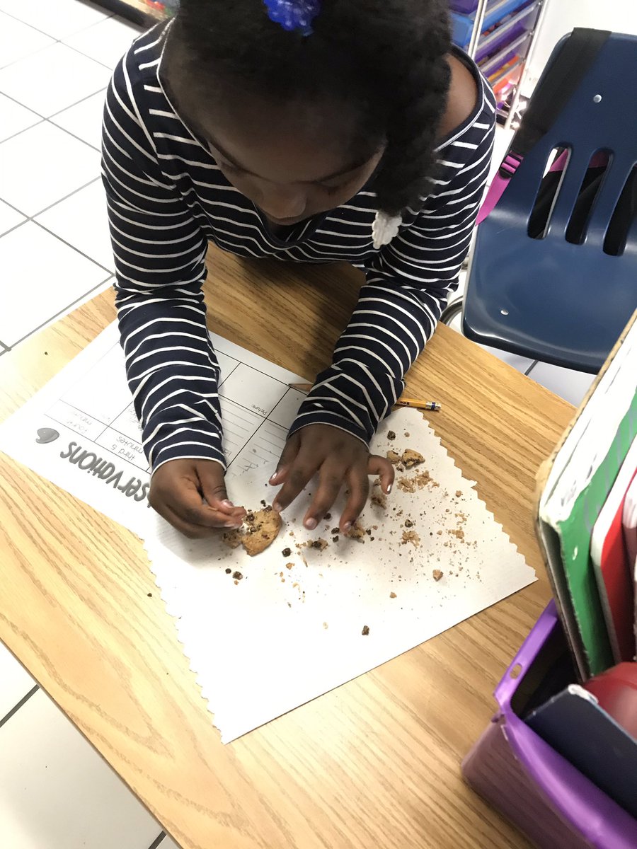 HoyleHoll's tweet photo. Check out our junior paleontologists excavating fossils from their dig sites!         🦴 ⛏ @Newtown_E @HRichardson_VB https://t.co/2En6yxHhnv