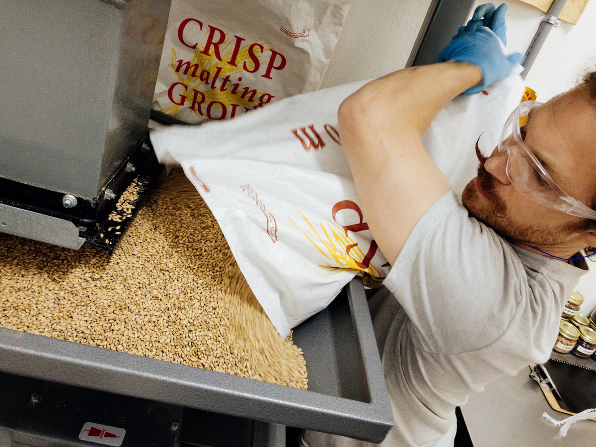 moontownbeer's tweet photo. Every new batch of Cecil #NEIPA begins with a single grain. Or a few hundred thousand of them. #keepitdank #brewing #craftbeer #brewerylife https://t.co/Zvv8qw70BD