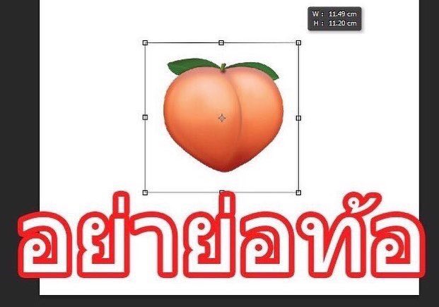 hugcat0501's tweet photo. ทีมรอมิวซ์ตอบเมนชั่น!💛🧡 https://t.co/Q377QNvtoa
