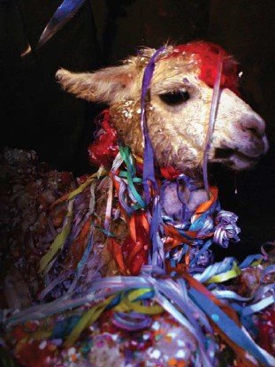 Silvia Rivera Cusicanqui (@botchixi) on Twitter photo 