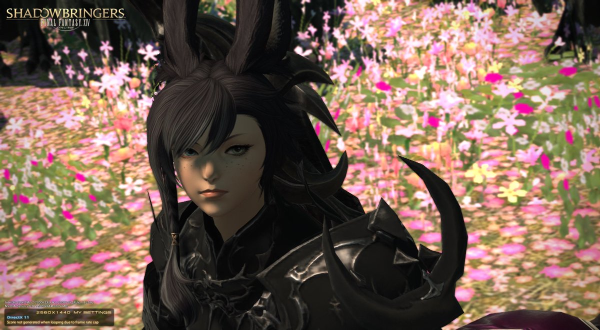 Name: D'ze Setoh World: Leviathan #FFXIV #MyFFXIVViera @FF_XIV_EN This...