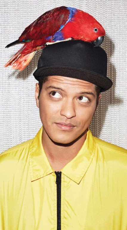 yaseminprtect's tweet photo. BRUNO MARS WALLPAPERS ♥️ @BrunoMars 

#BrunoMars #BrunoMarsWallpapers #BrunoMarsWallpaper #Wallpapers #Wallpaper https://t.co/zivlnsQ0lI