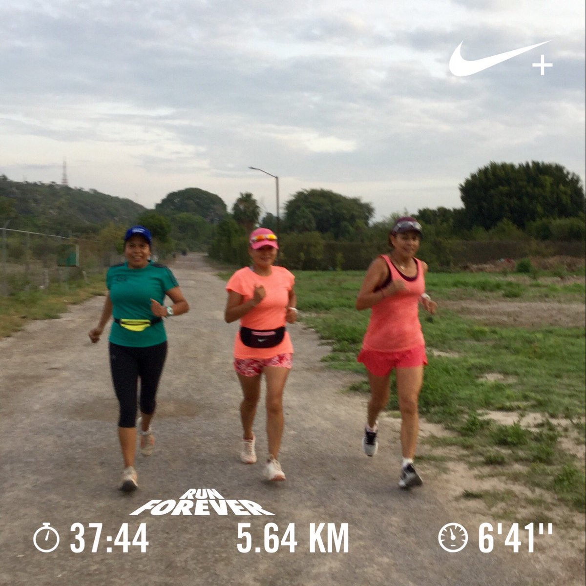 Saltamontes Petite 👧🏽 tweet media