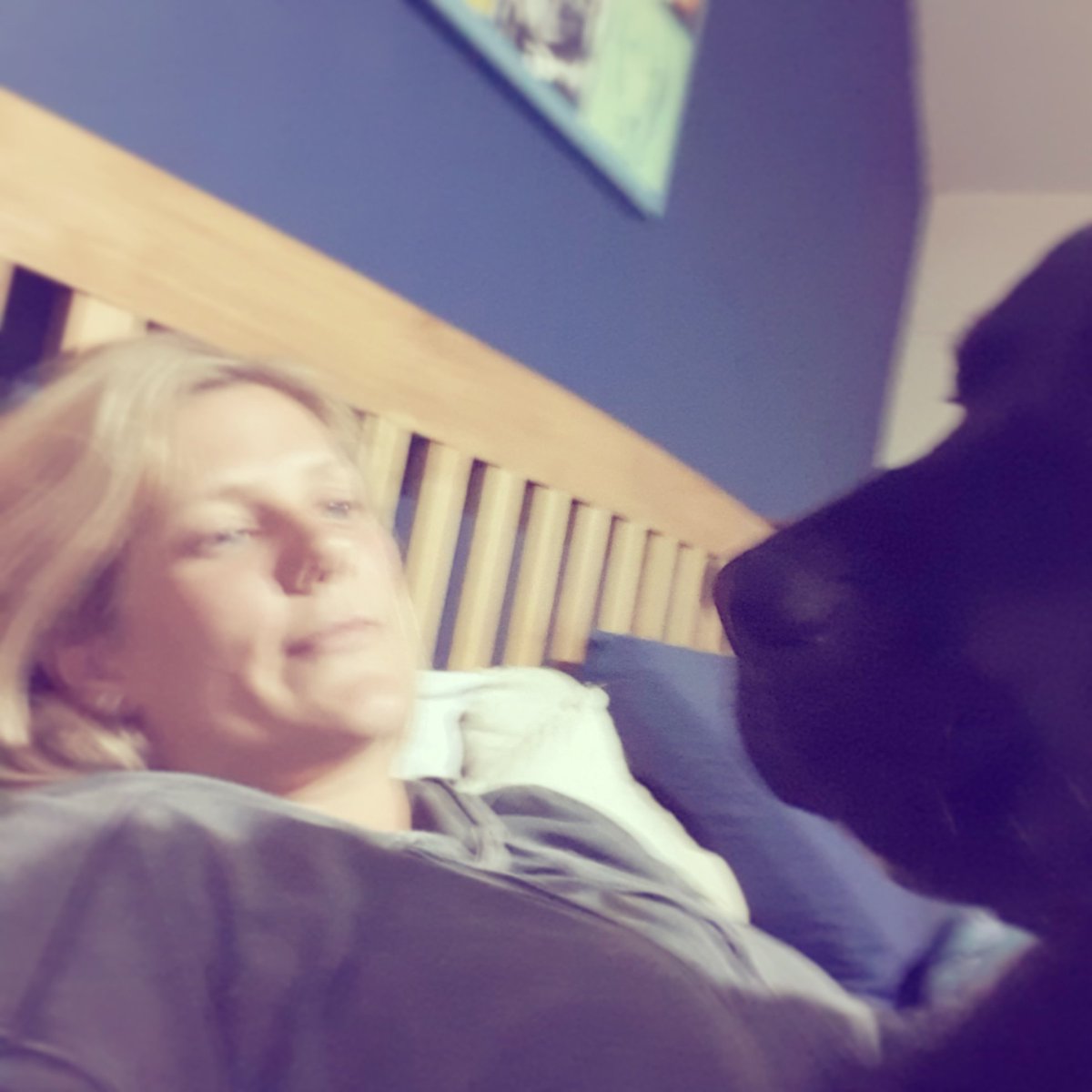 0hhlivia's tweet photo. I'm not one to brag but... I'm an incredible photographer.
#blurry #braggalicious #braggart #dogsoftwitter #bigdogsoftwitter #bullmastiff #dalmatian #helovesme #dogbreath #squished #thelookoflove #afternoonnap #cuddles #bighead https://t.co/7yhwz8c5SE