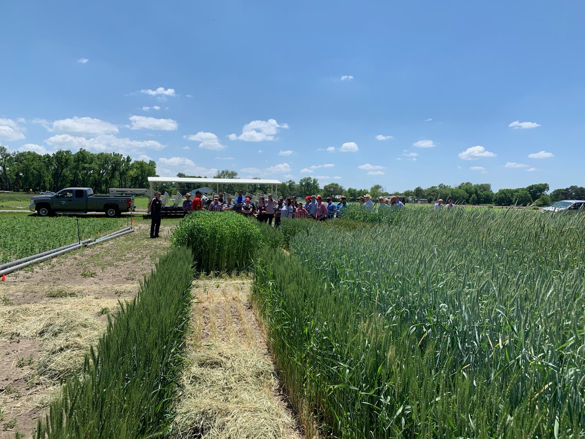 UNLRangeForage tweet media