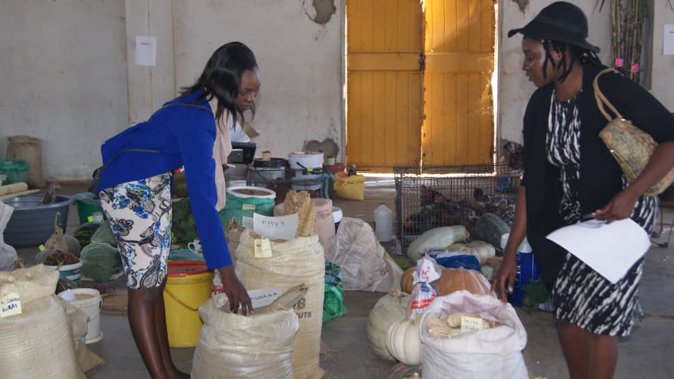 Lutheran Development tweet media