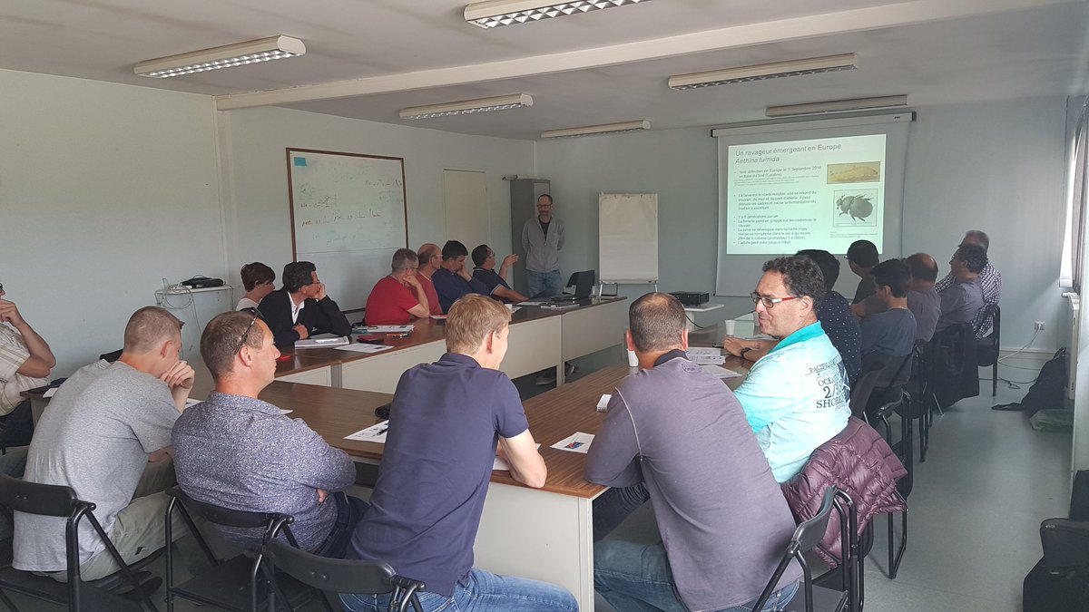agilemc2's tweet photo. Rencontre ce matin entre un #apiculteur professionnel à Commercy et les groupes @Dephy_Ecophyto Ferme de @coopEMC2 et @agilemc2 30 000 du Centre Meuse. 
Créer du lien entre #Agriculture et #Apiculture est important 🐝, cela permet de lever les idées reçues. #ComPositive https://t.co/bfi52mawQL