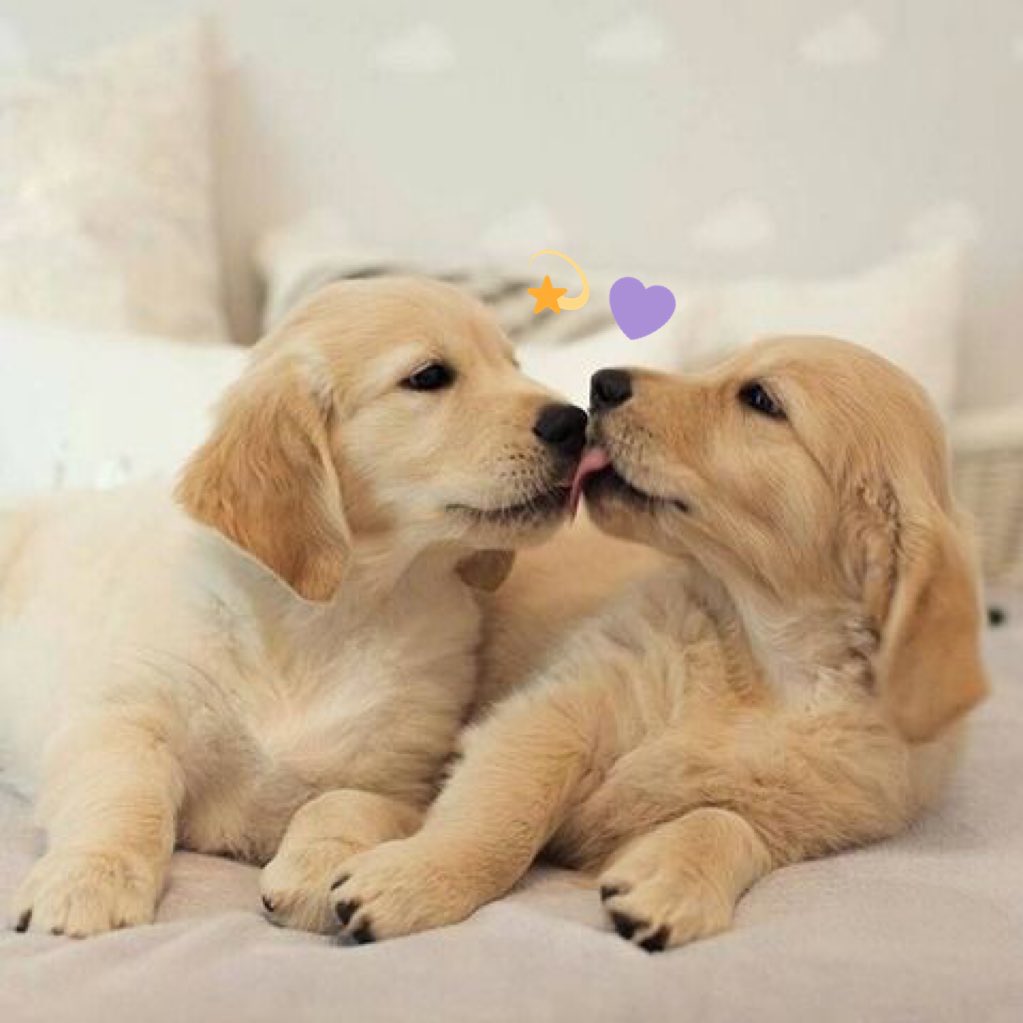 markl99BK's tweet photo. 23 : 32 (+ 🌙💜) @NAOOJM 
good night sleep tight na krub :-) https://t.co/LD91OopowB