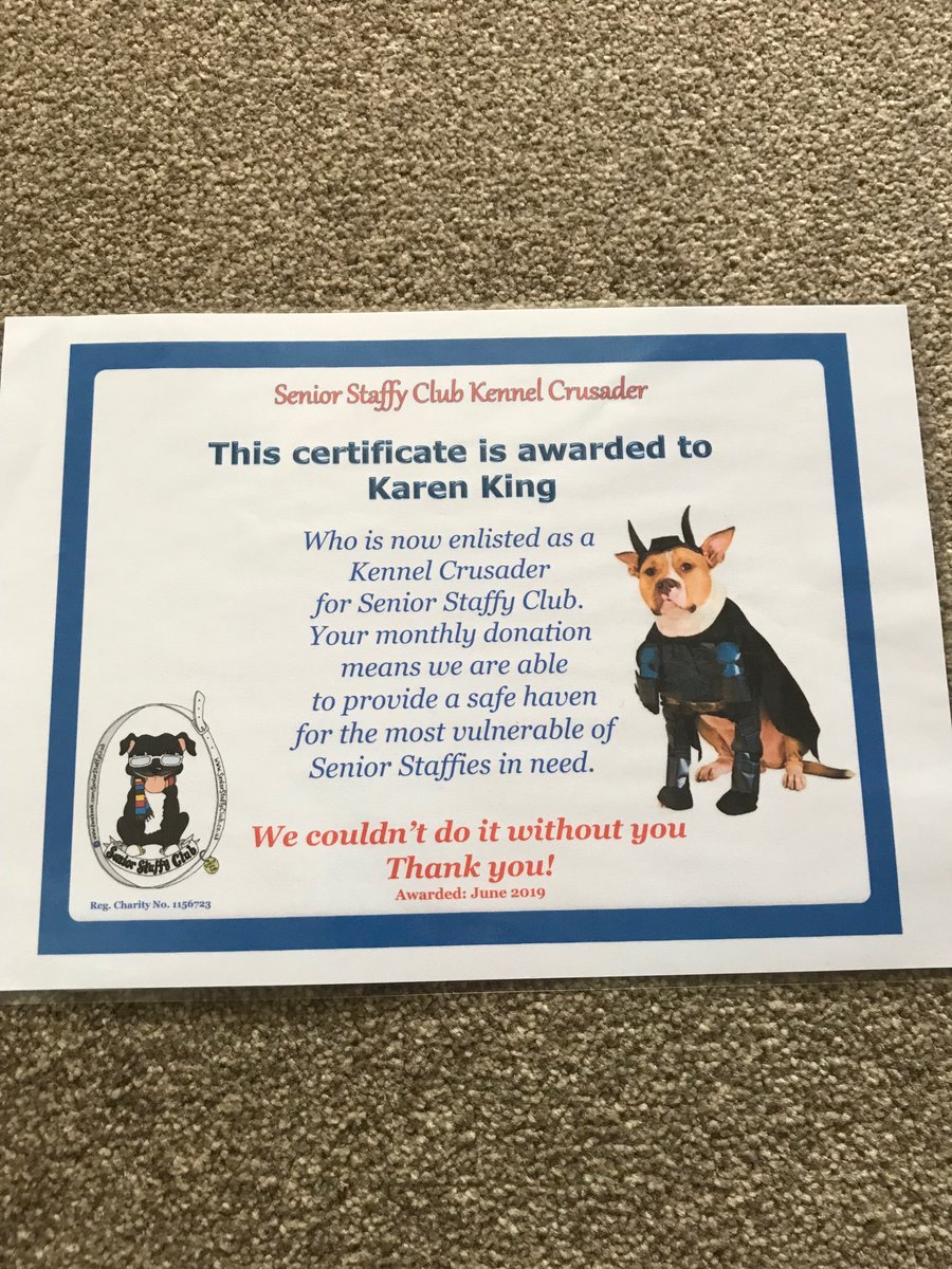 Woo hoo look what arrived in the post👍⁦<a href="/SeniorStaffy/">Senior Staffy Club Dog Rescue</a>⁩