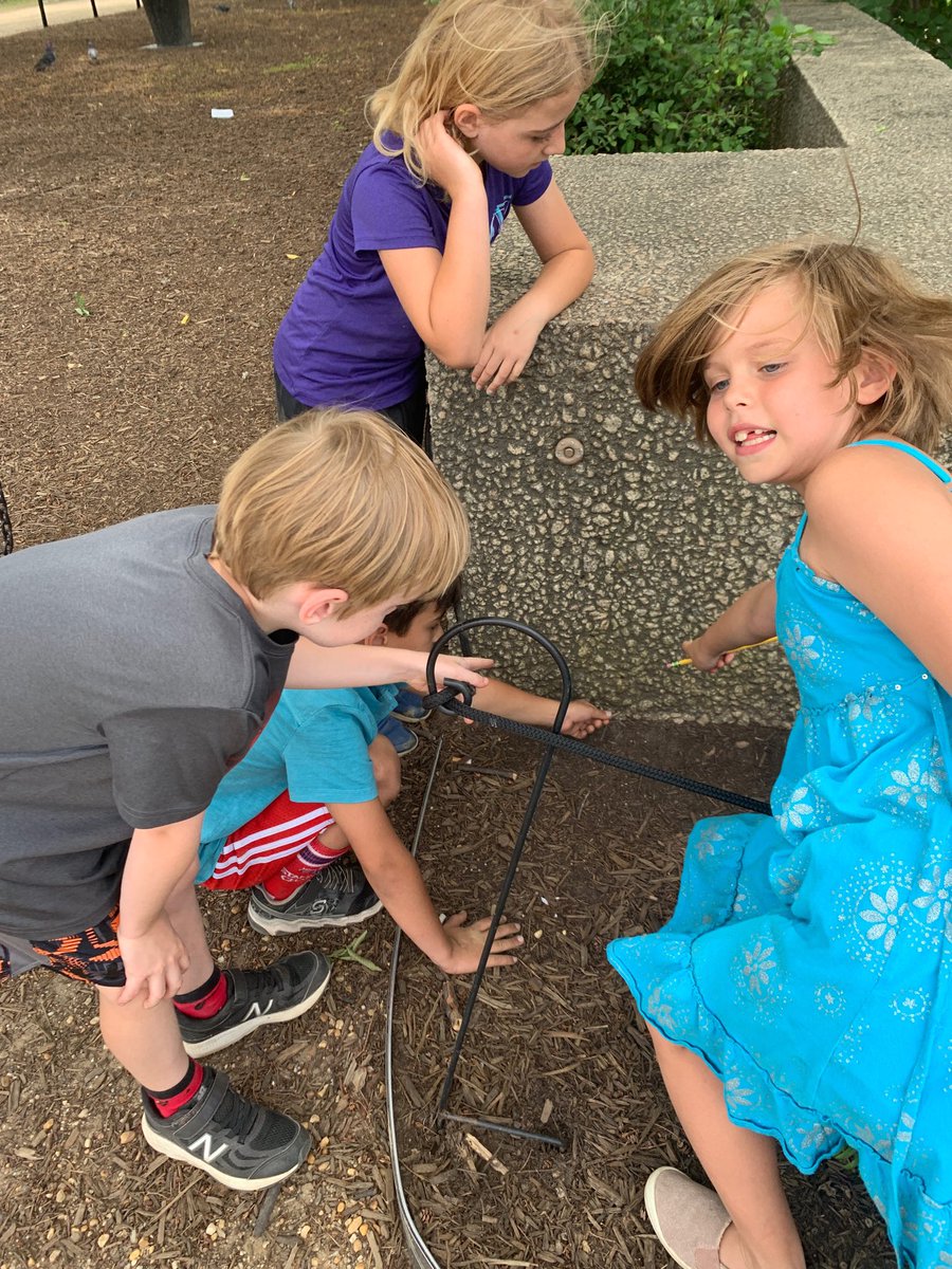 The ants go marching (in camouflage)! #roteam2 ⁦<a href="/MsRomeroAPS/">Ms. Romero's Class</a>⁩