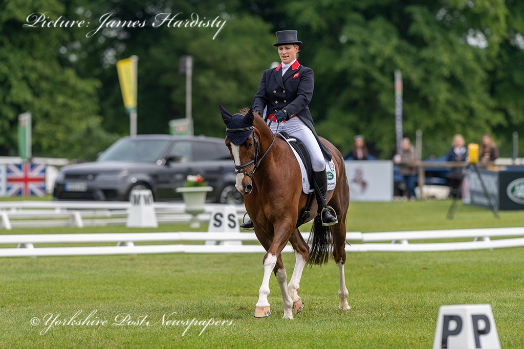 snapperjim's tweet photo. Dressage video of #ZaraTindall https://t.co/PsvQkIMS48 at #Bramham #International #Horse #Trials @BramhamPark @leedsnews #yeplive @yorkshirepost #yplive #EBHT @BEventing @Equi_Trek see #YorkshirePost see @LeeSobotYEP for full report & pictures @ZaraTindallMBE #royal #UK https://t.co/U9YcAkuT8q