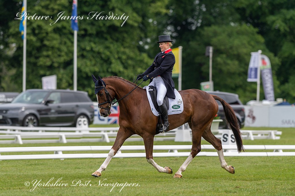 snapperjim's tweet photo. Dressage video of #ZaraTindall https://t.co/PsvQkIMS48 at #Bramham #International #Horse #Trials @BramhamPark @leedsnews #yeplive @yorkshirepost #yplive #EBHT @BEventing @Equi_Trek see #YorkshirePost see @LeeSobotYEP for full report & pictures @ZaraTindallMBE #royal #UK https://t.co/U9YcAkuT8q