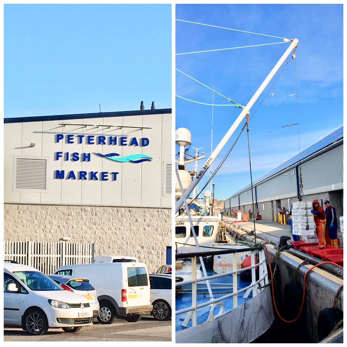 Ali_S_T_Ali's tweet photo. In #Aberdeen. Interesting day visiting @PeterheadPort touring Europe’s biggest #fishmarket, then #SeafoodEcosse &amp; finally to @anmgroup to view #livestock auctions! Met with &amp; presented to some fantastic #seafood &amp; #drinks companies from #NorthEast on opps in the #UAE #MiddleEast https://t.co/F6EMT15oTU