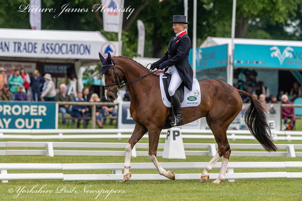 snapperjim's tweet photo. Dressage video of #ZaraTindall https://t.co/PsvQkIMS48 at #Bramham #International #Horse #Trials @BramhamPark @leedsnews #yeplive @yorkshirepost #yplive #EBHT @BEventing @Equi_Trek see #YorkshirePost see @LeeSobotYEP for full report & pictures @ZaraTindallMBE #royal #UK https://t.co/U9YcAkuT8q
