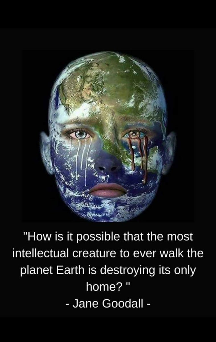 ConvertToNone's tweet image. It&apos;s simple really (and cliche):
We know just enough to be dangerous.