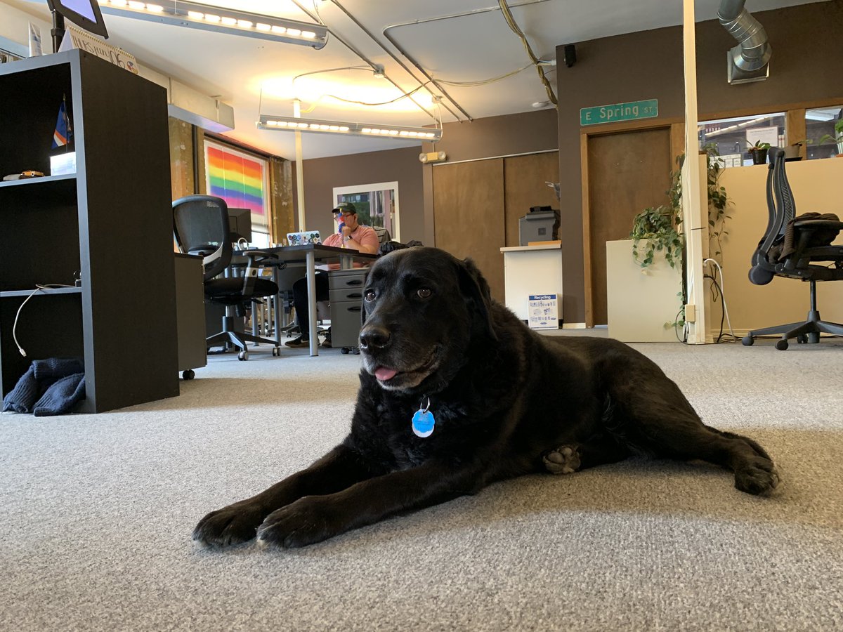officenomads's tweet photo. Buckley alert! 🚨 #coworking #dogsofcoworking #capitolhillseattle #celebritysighting https://t.co/Zy9zWFQrit