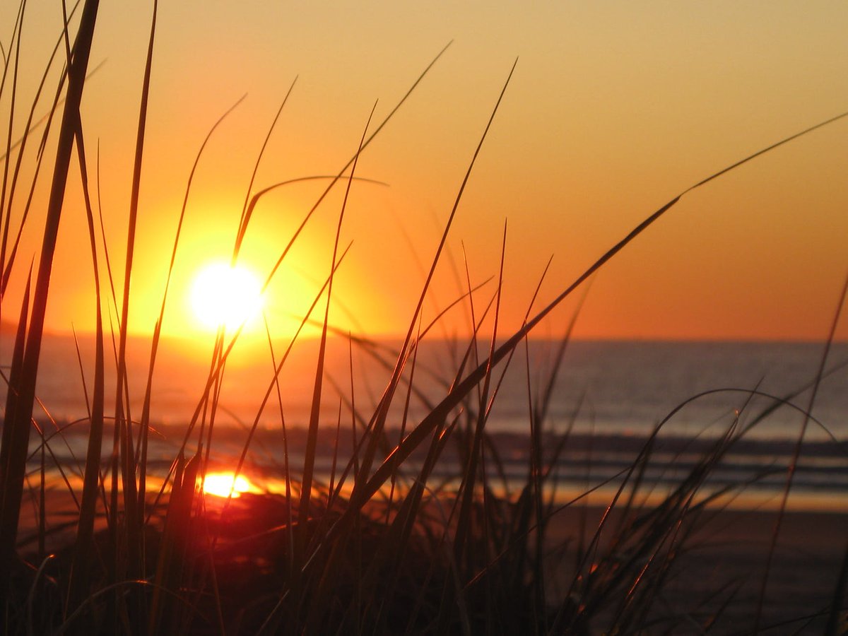 RelaxInnBruns's tweet photo. We are minutes from popular area sites, including Popham Beach and Reid State Parks. #RelaxInn #Brunswick #Maine https://t.co/DV5meRNgXY