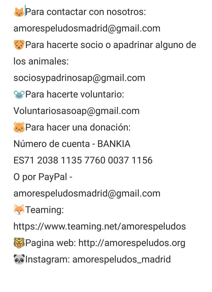Amores_Peludos's tweet photo. Os dejamos aquí todas las formas con las que podéis colaborar y echarnos una patita. Tenemos los mensajes abiertos para cualquier cosa que necesiteis. Información, colaboración, donaciones de cualquier tipo....Gracias por la difusión y vuestra ayuda.Sin vosotros no seria posible! https://t.co/R4IhyEn1g5