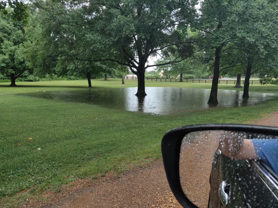 Sad to say the market is cancelled today. 😢 Mother Nature decided to install some swimming pools where people park, and there is more rain to come. We look forward to seeing everyone next week!!