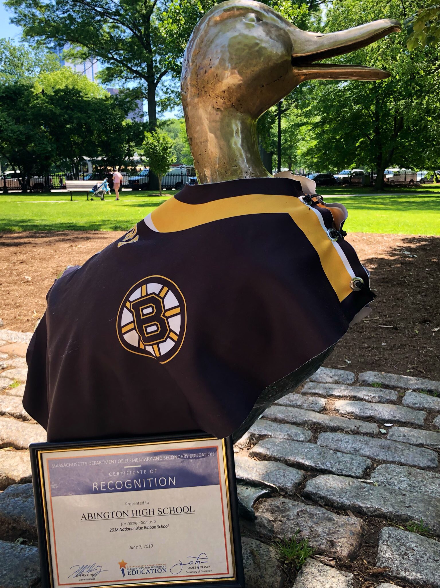 D Anns Abington Massachusetts - rkdr4g2