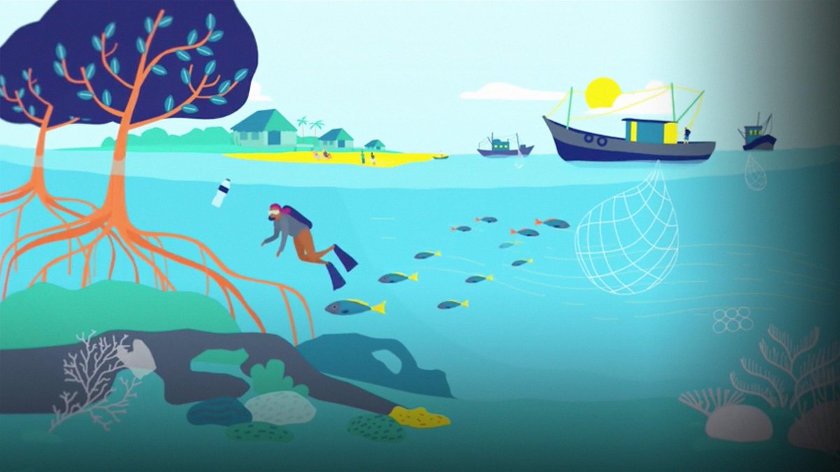 TEDTalks's tweet photo. An ingenious proposal for scaling up marine protection: https://t.co/FhYYSnVZTy #WorldOceansDay @MarkTercek @nature_org https://t.co/qOUoqdbdls