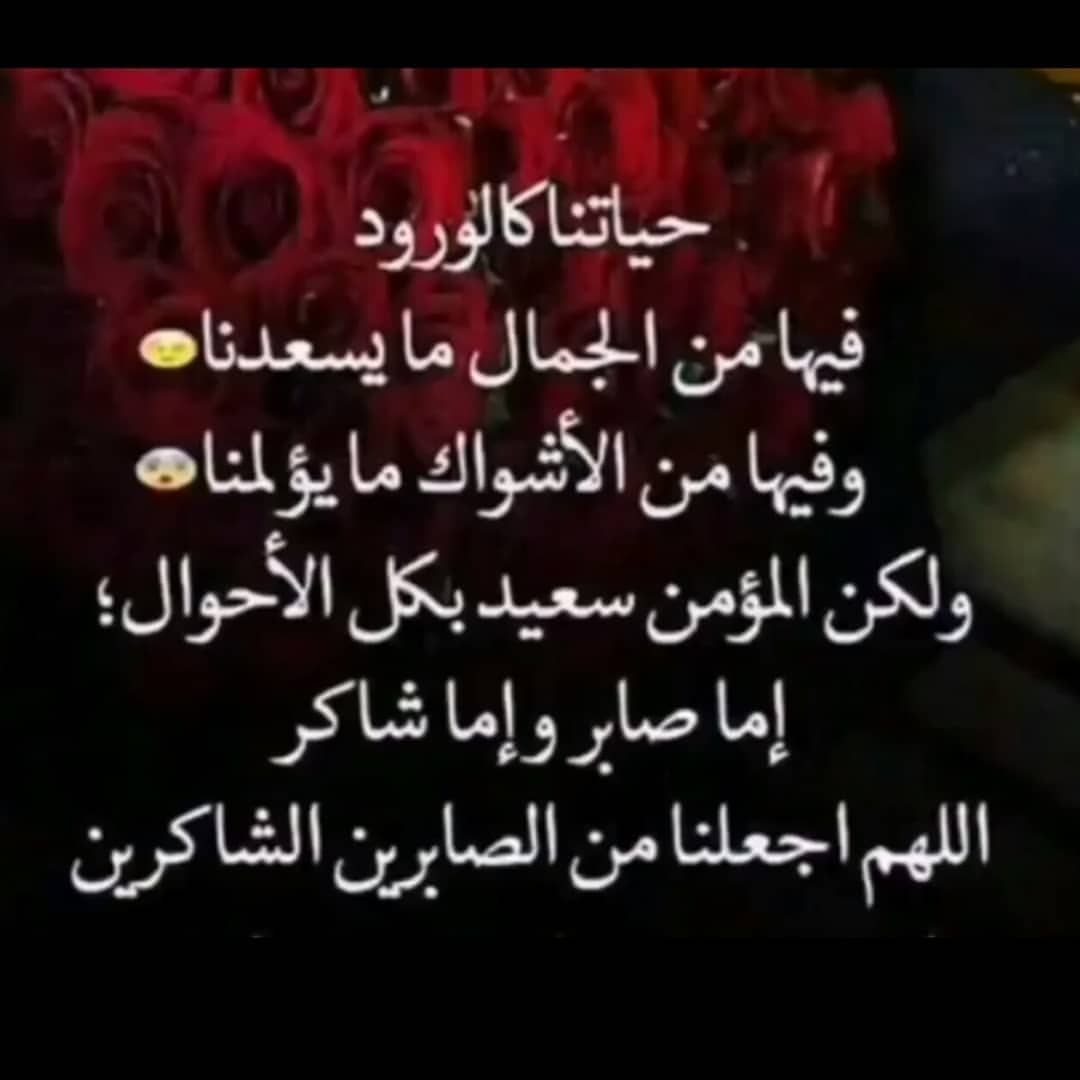 خادمه الزهراء (@haedarnore3) on Twitter photo 