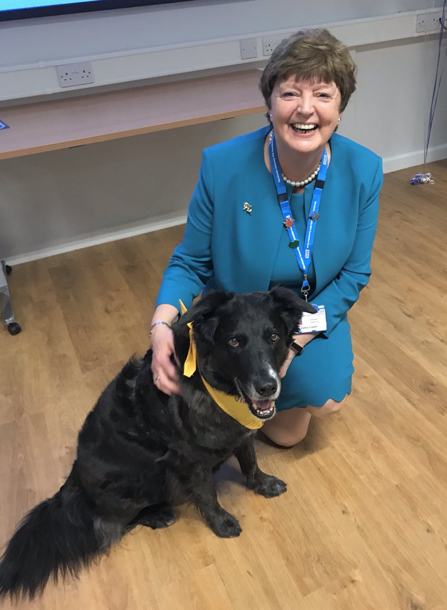 Scruffy - Pets As Therapy tweet media