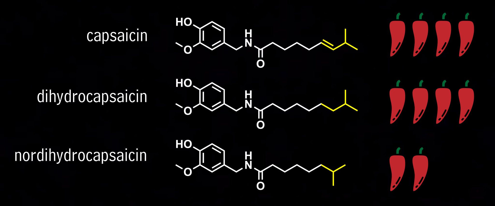 The Busta Lab on Twitter "Happy PhytochemicalFriday! Did you know