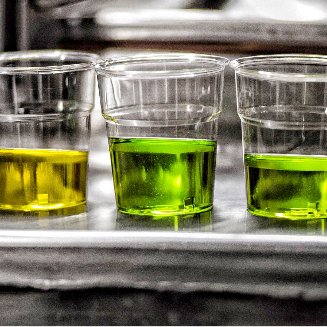 Sfumature di Laudemio 🌿

#laudemio #laudemiooliveoil #olioevo #oil #extravirginoliveoil #olioextraverginedioliva #oliotoscano