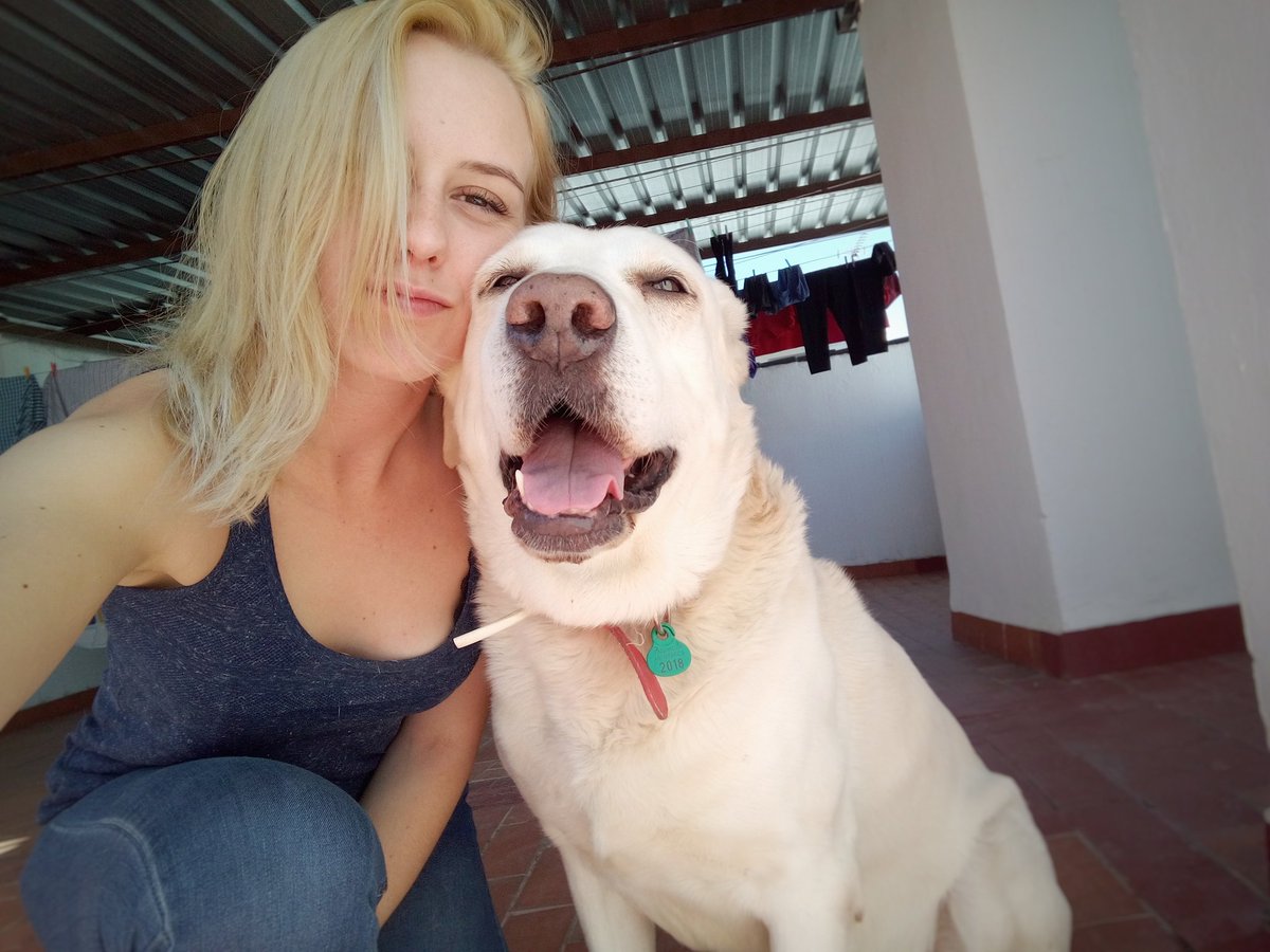 mavalrom's tweet image. Os enseño a un pedazo de bellezon y yo al lado.