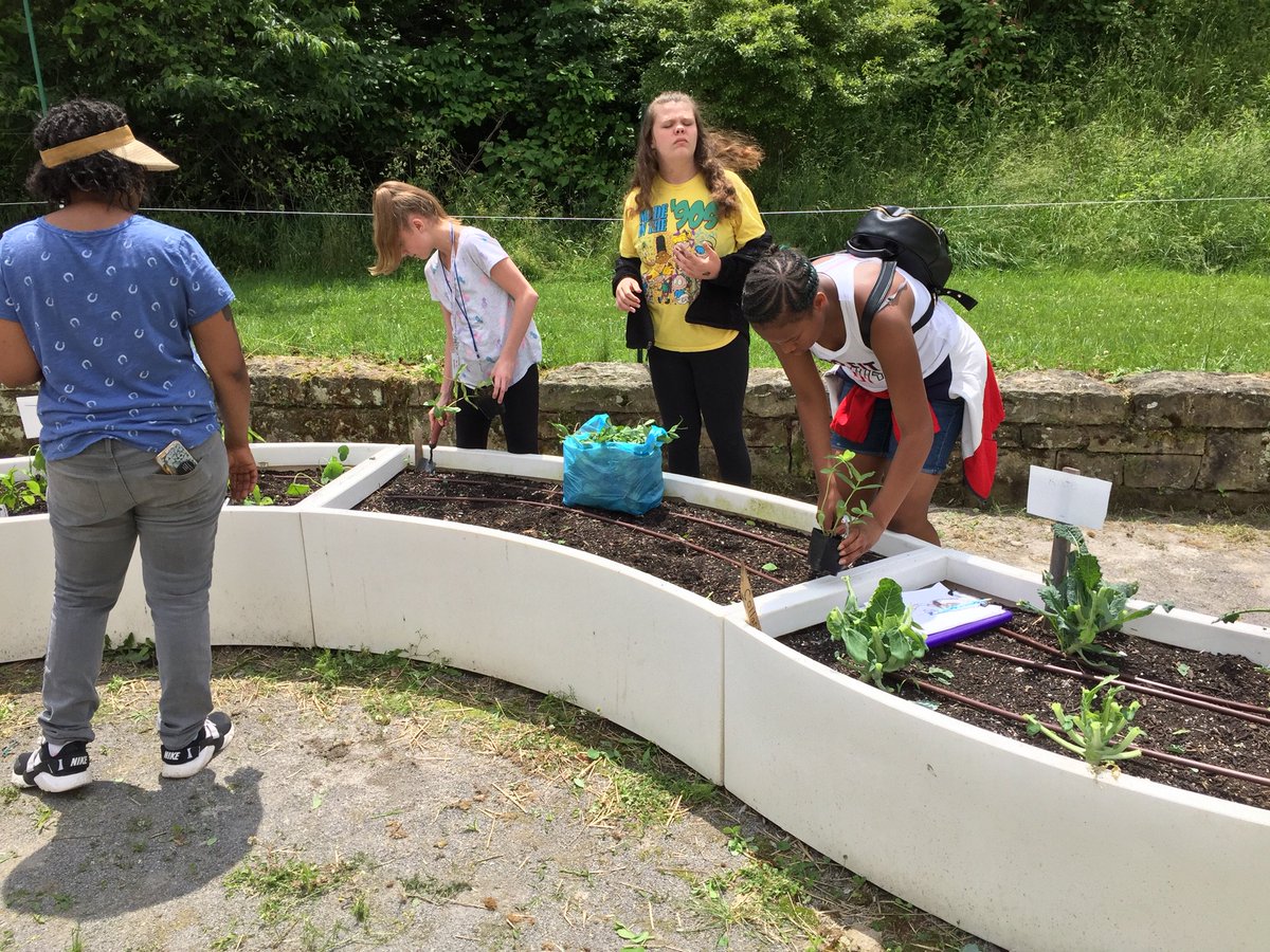 DavisPPSPCA's tweet photo. What an amazing day for gardening! The @growpittsburgh crew came out and helped us harvest chives, pea chutes, collards and mint. Then we planted our summer crops and even built a fence to stop the deer from eating them. Students had a blast! #PCAAllDay @PPSnews @PghSuptHamlet https://t.co/8eNw0jCfnT