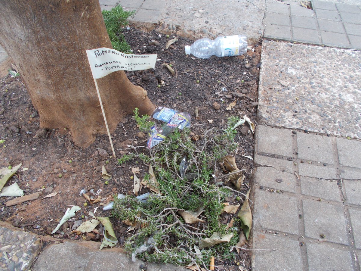 Red Territorios Sostenibles #RedEcoTerritorios tweet media