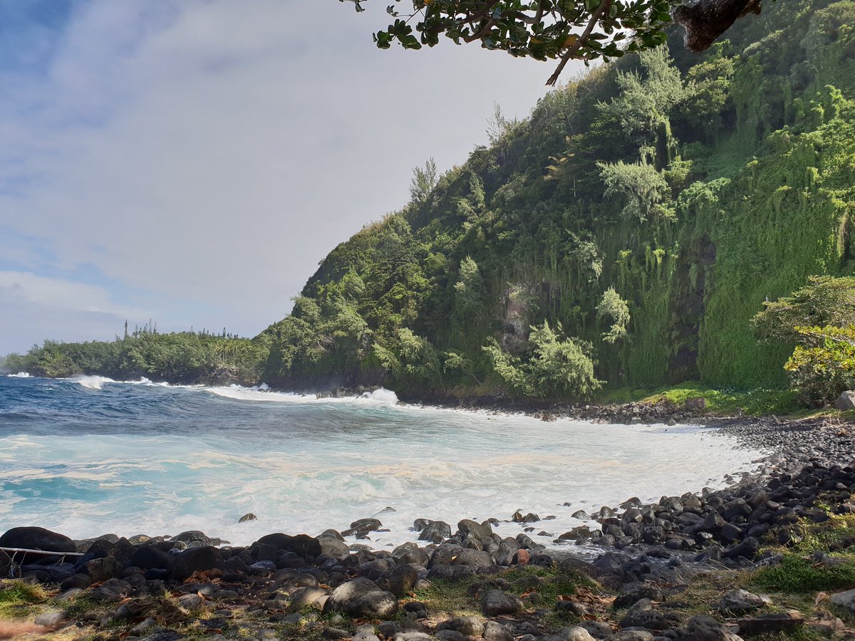 Eloliyah's tweet photo. Anse des Cascades #reunionisland #LaReunion https://t.co/OXUPUZytHD