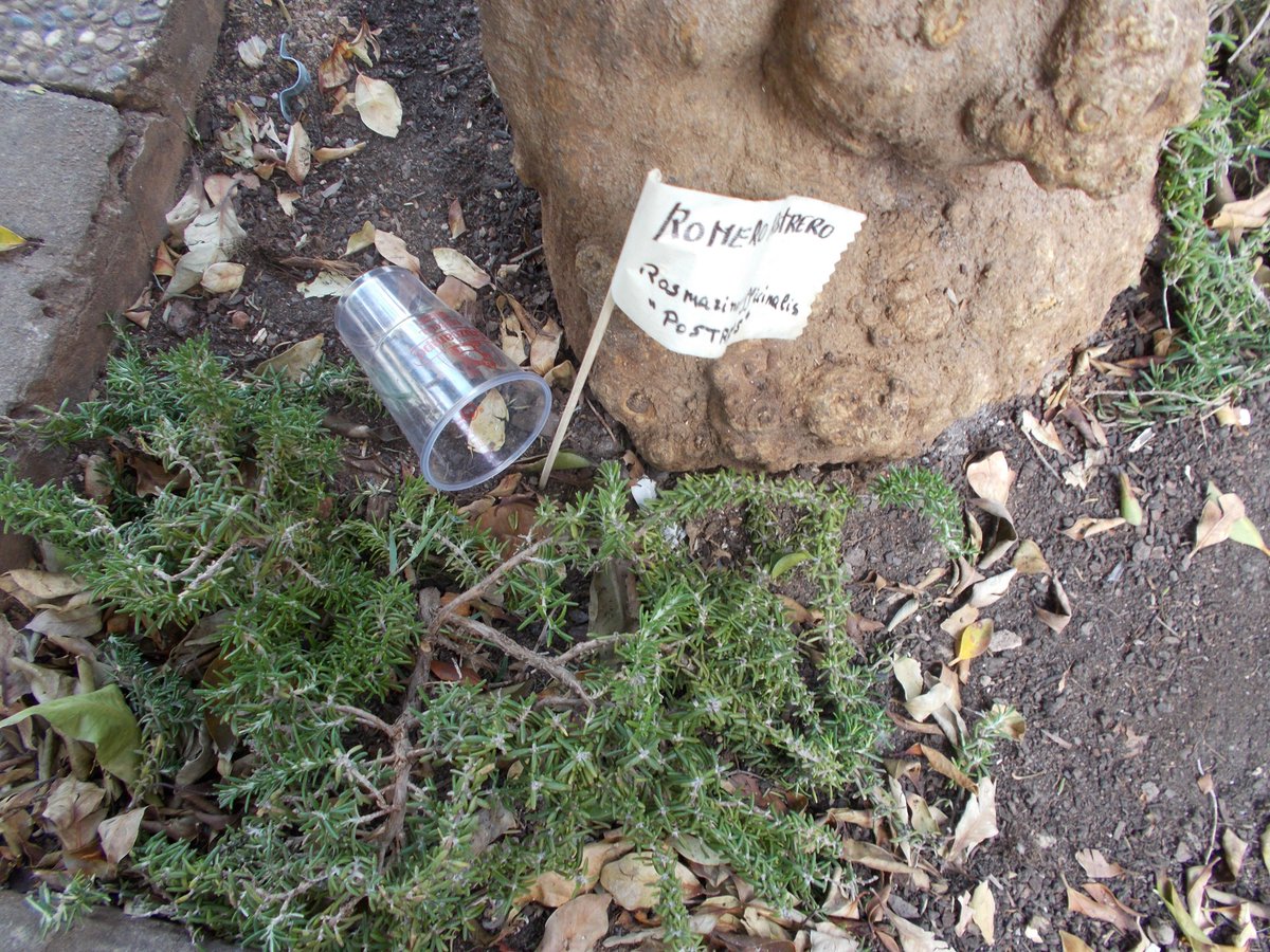 Red Territorios Sostenibles #RedEcoTerritorios tweet media