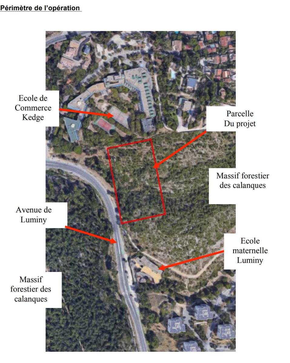 DavidLaMars's tweet photo. Quand tu vois le site choisi par la Ville de #Marseille pour la futur caserne des marins-pompiers au Redon en site inscrit au patrimoine culturel et paysager des #Calanques, tu sais que rien n'arrête la course à l'urbanisation de #Luminy et que les tronçonneuses vont encore rugir https://t.co/KfYL3NXB9T