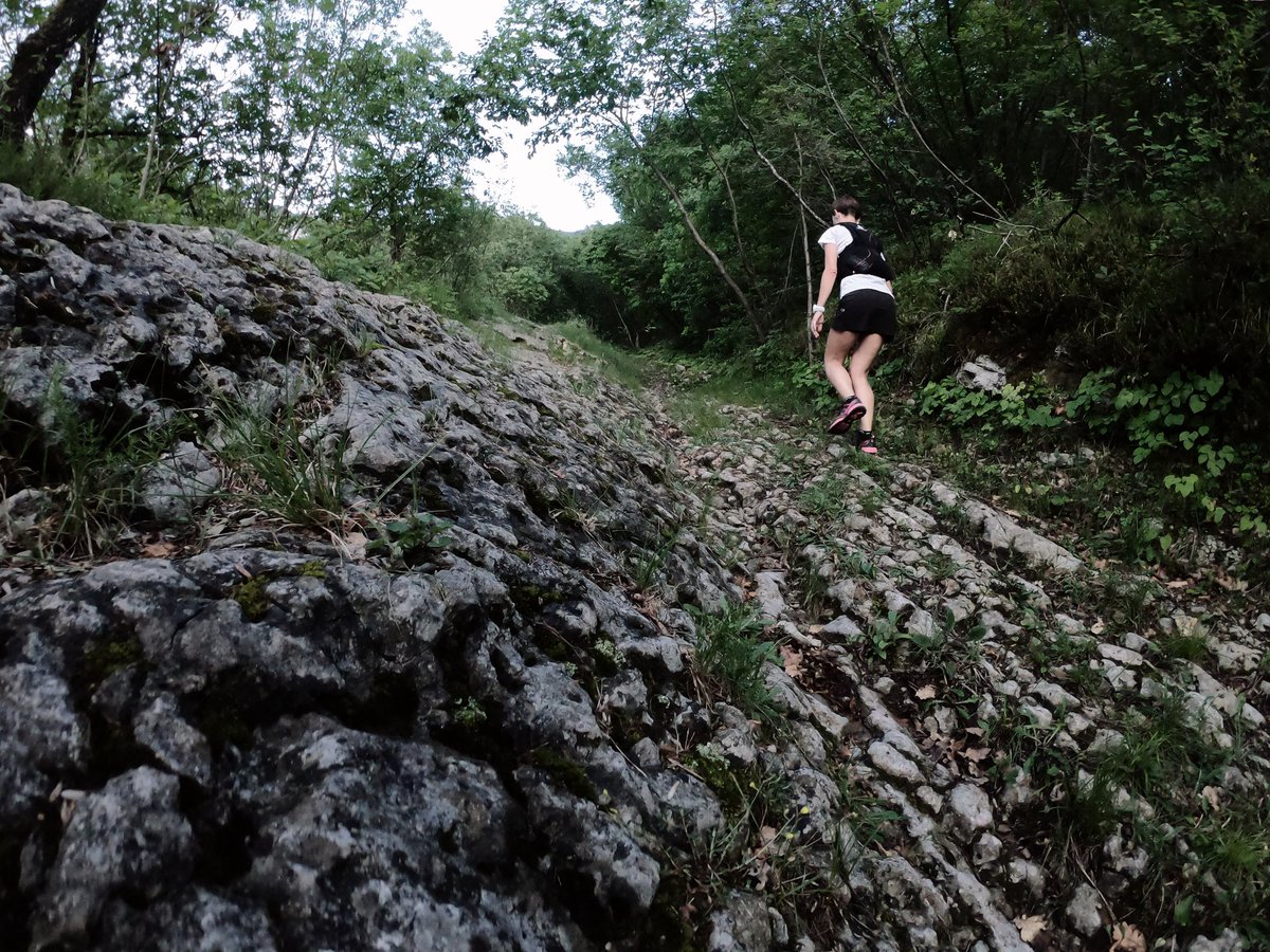 AbaZuani's tweet photo. Ormai avrete capito che il giovedì è appuntamento fisso
#Girovedì
"Sentiero dell'Arte"
#GFS #NeverStopMoving
#ThursdayTrip #GiroInGiro  #IoCorroQui @runlovers #RunHappy #DaiCheSpiana #TrailRunning #InTrailWeTrust #GenteFuoriStrada #DipendenzaDaPendenza #BitumenIsBoring https://t.co/bGHmee7yqU