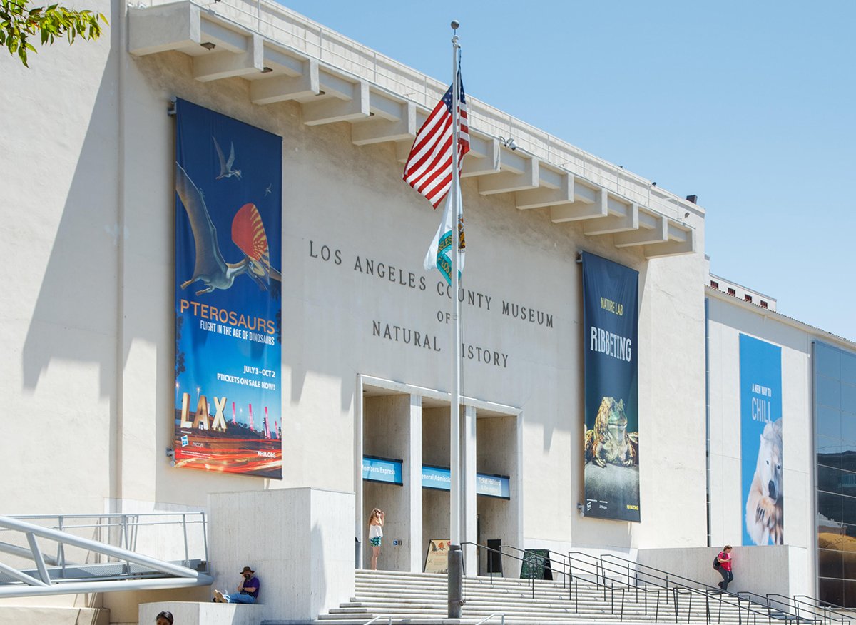 Los Angeles Tourism & Convention Board tweet media