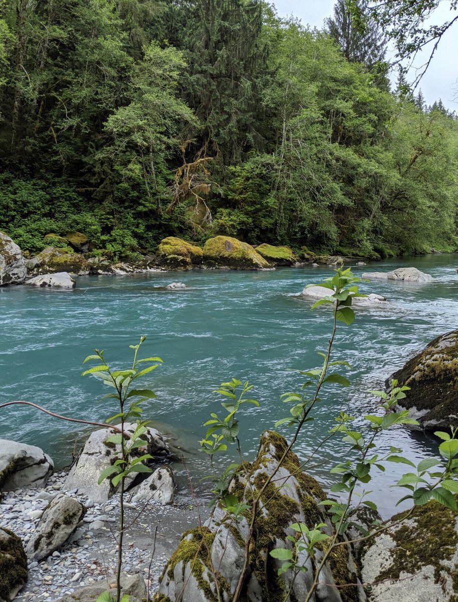 RideTheDrop_app's tweet photo. Hey hey! Hope you’re in the full swing of enjoying summer! Check out Seattle and the surrounding area for a nice weekend trip! https://t.co/WWJiWBSIQ8 #Weekendtrip #Seattle #FridayThoughts #justgo #traveling https://t.co/4aiyhAJj8N