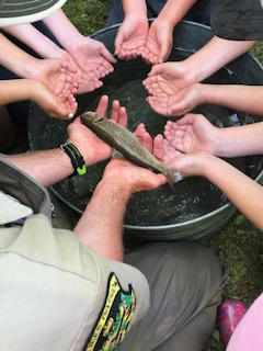 MillRiverSchls's tweet photo. WES 3rd & 4th graders visited Roaring Brook for hands-on (or hands-near) learning about "Trout in the Classroom." Here, a brook trout held by a VT. Dept. of Fish and Wildlife biologist with the attending kids' hands getting in on the photo op!
#MRUUSD #millriverschools #VTedu https://t.co/kkguyGr0UC