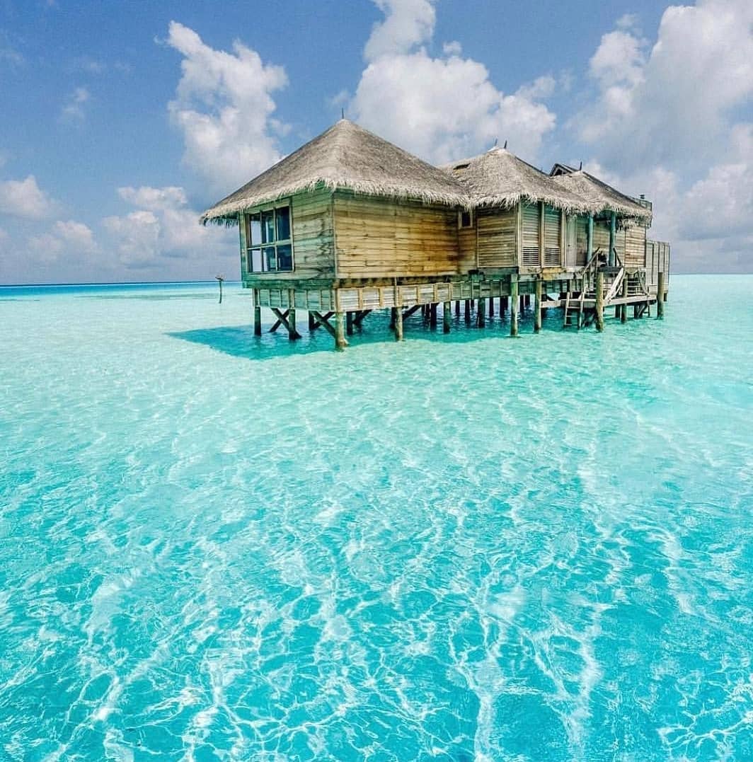 Azureswimwear's tweet photo. We could go for a dip in the Maldives right about now 💦 #azurewaters #maldives #paradise https://t.co/dhuLKVpJUY