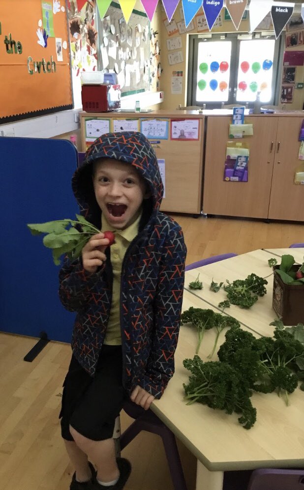 nantcelynschool's tweet photo. The excitement you feel when the allotment starts to provide fresh home grown organic produce! @BronAfon thank you for your support 🍅🥗 https://t.co/AfVkyvwfFP
