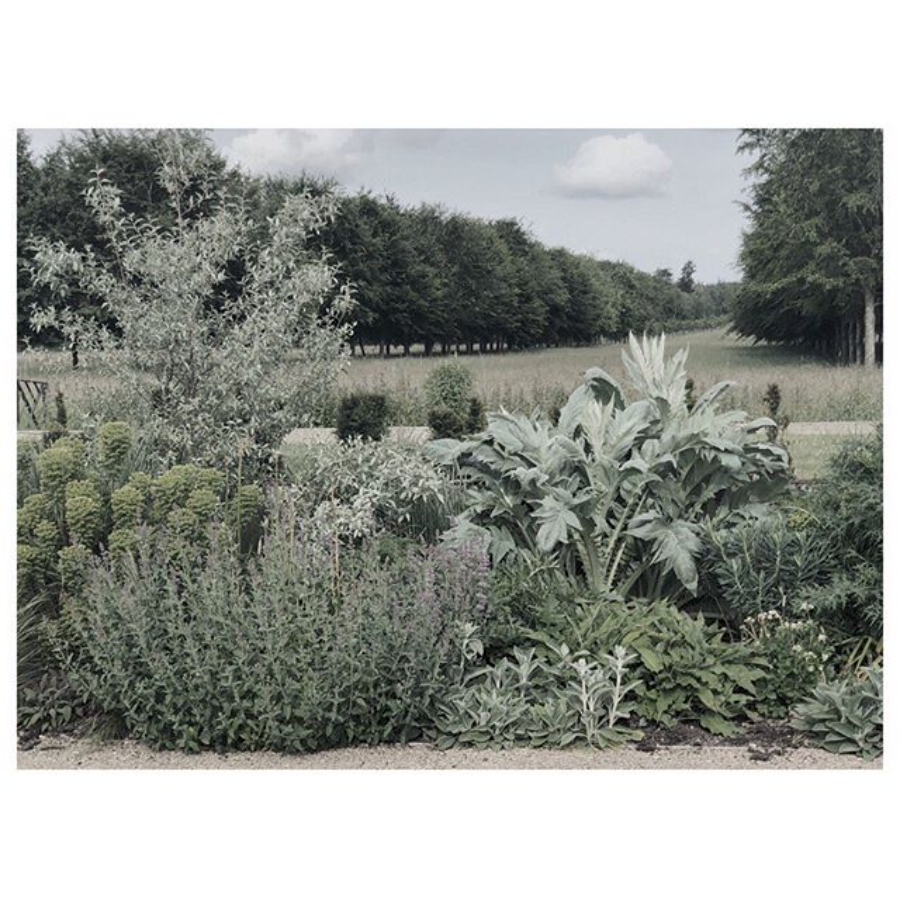 We had a great shoot this week in this beautiful location. More coming soon... Follow OCHRE on Instagram instagram.com/ochreochre/

#OCHRE #Lighting #Furniture #Accesories