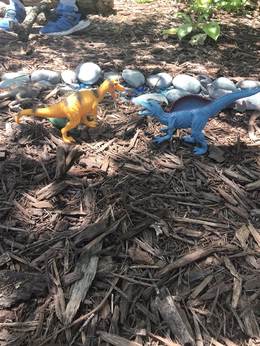 NoviEdFound's tweet photo. What a great afternoon at Deerfield Elementary touring their new garden. Sensory, vegetables, fairy, and dinosaurs. Love it!! https://t.co/JqhG3UObRO